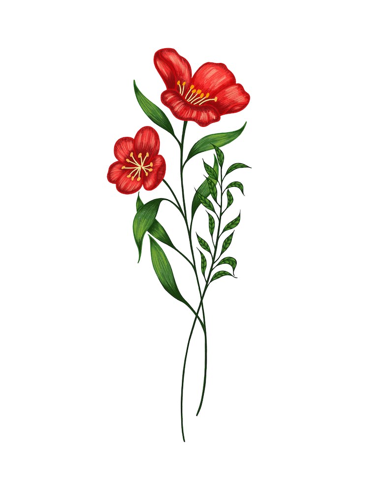Blooming Red Flowers