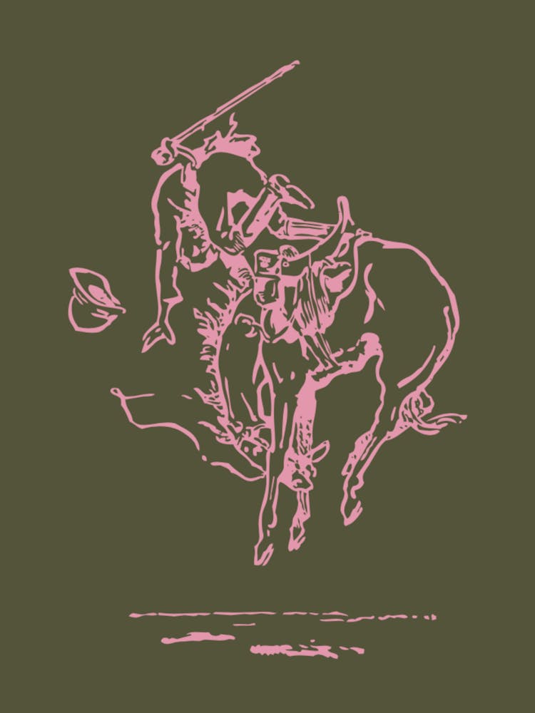 Bucking Broncos Rodeo