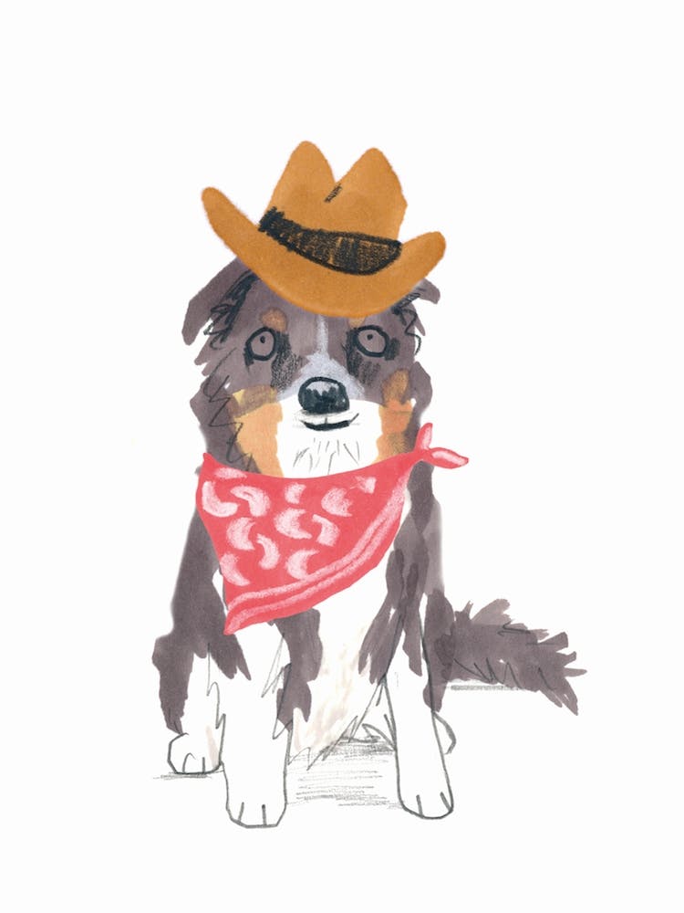 Cowboy Collie