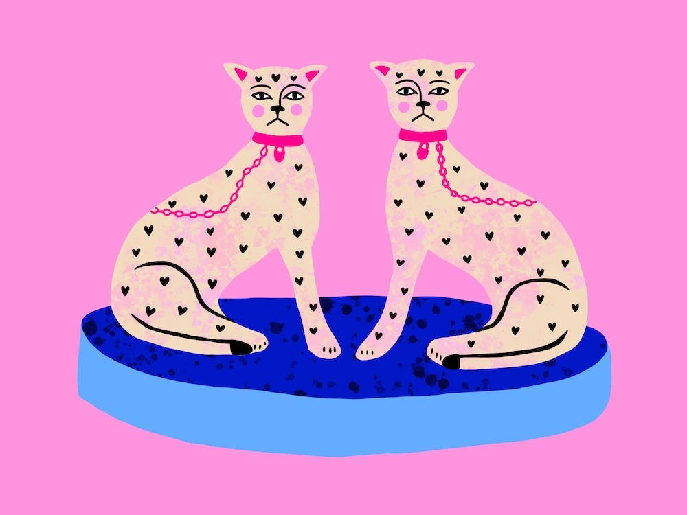 Sitting Cats