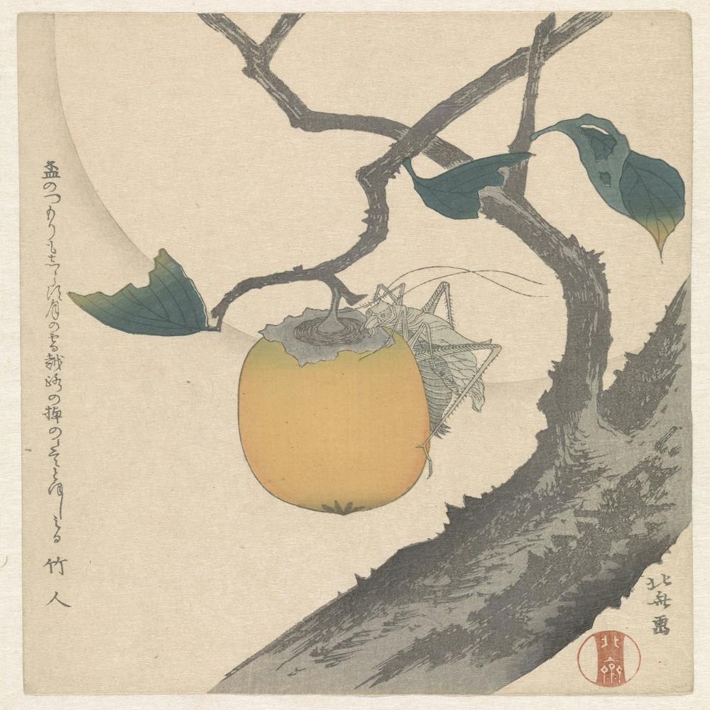 Moon, Persimmon And Grasshopper, Katsushika Hokusai