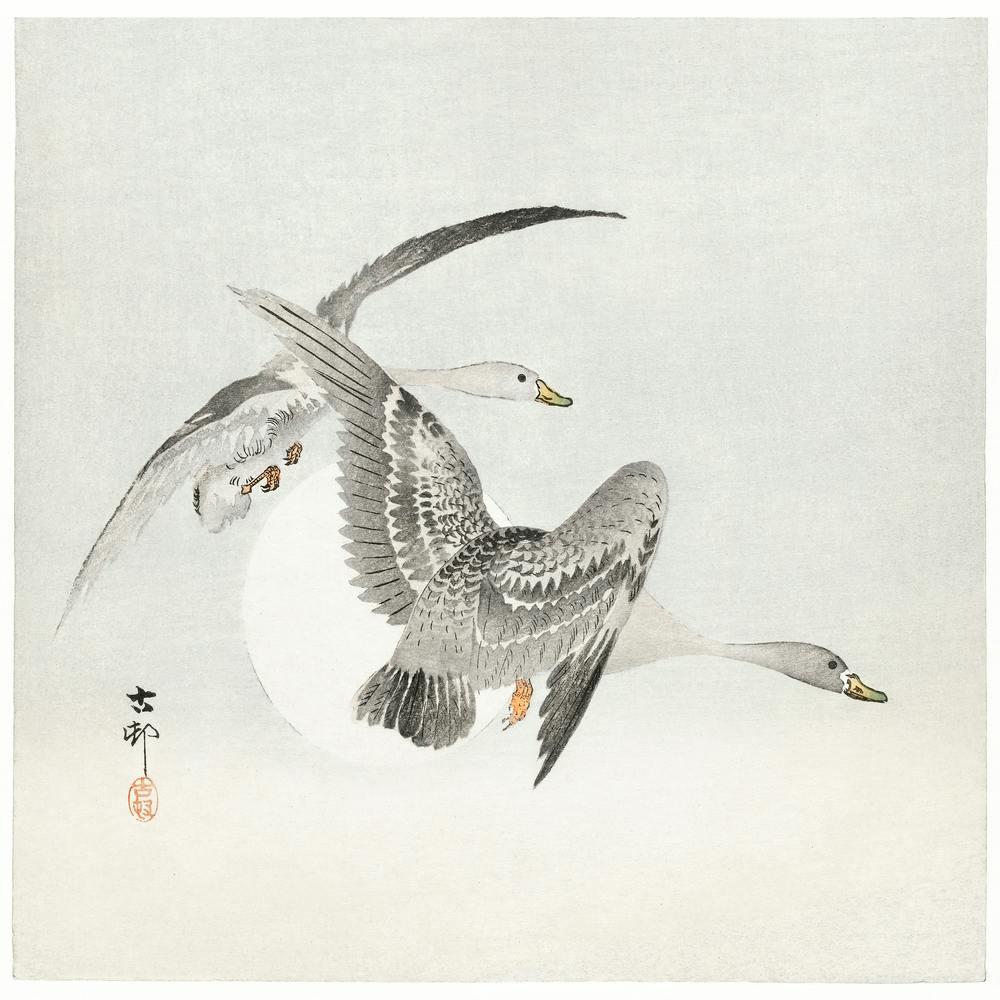 Two Colt Geese In Flight (1900 1930), Ohara Koson