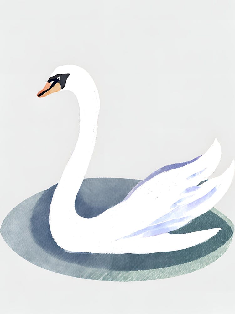 Swan