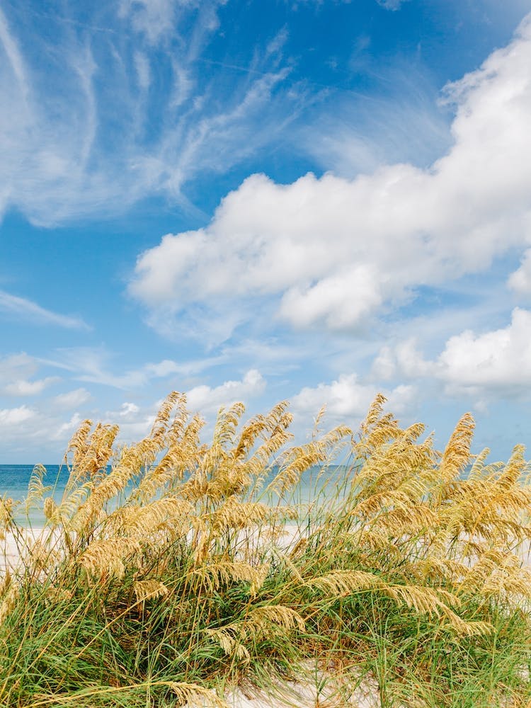 St. Pete Beach III