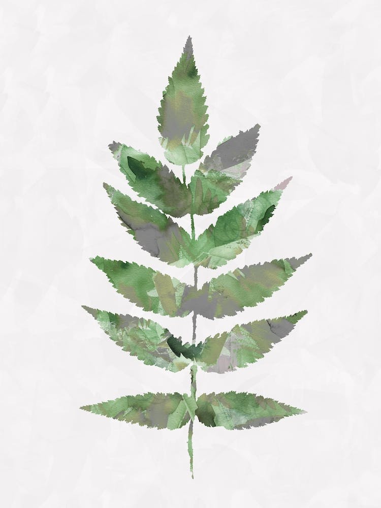 Forest Watercolour Leave Green