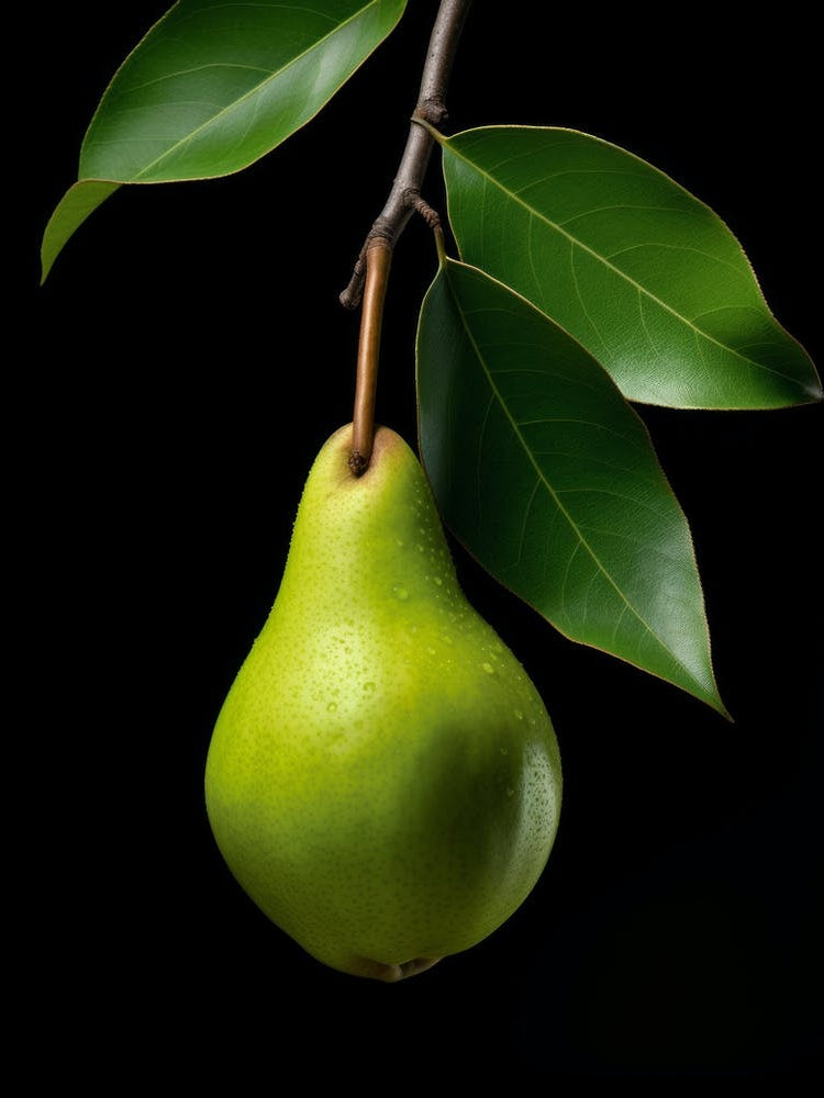 Pear 5