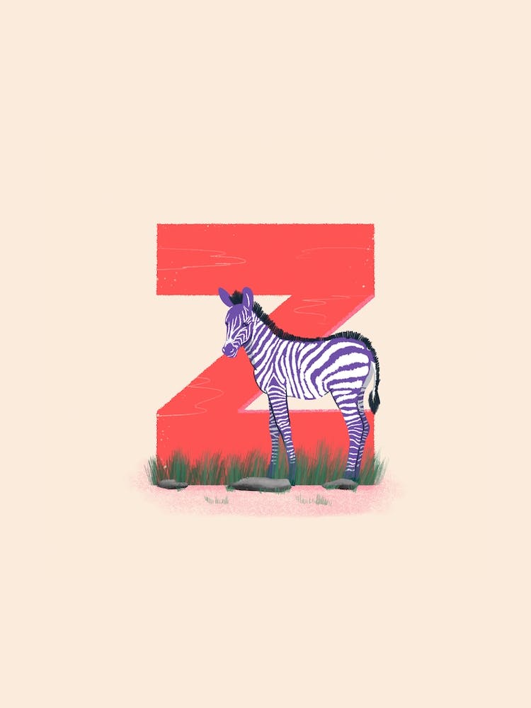 Letter Z Zebra