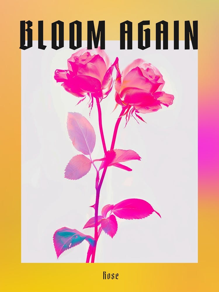 Hot Pink Rose 4 Poster