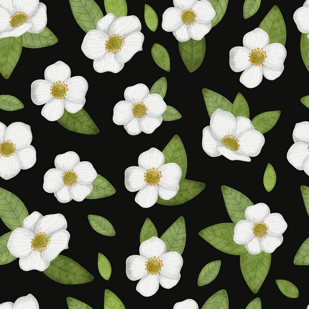 Weiße Blumen auf Schwarz