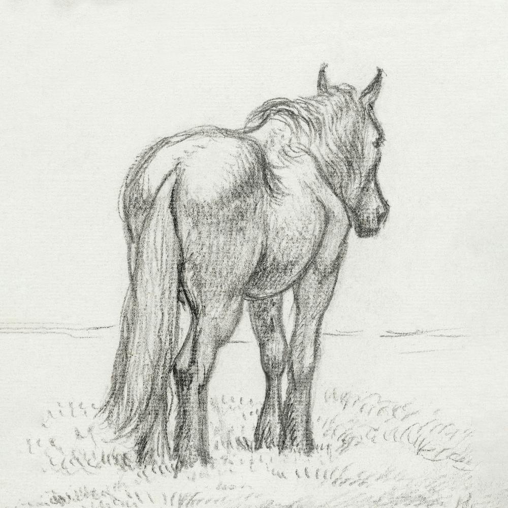 Standing Horse 4, Jean Bernard