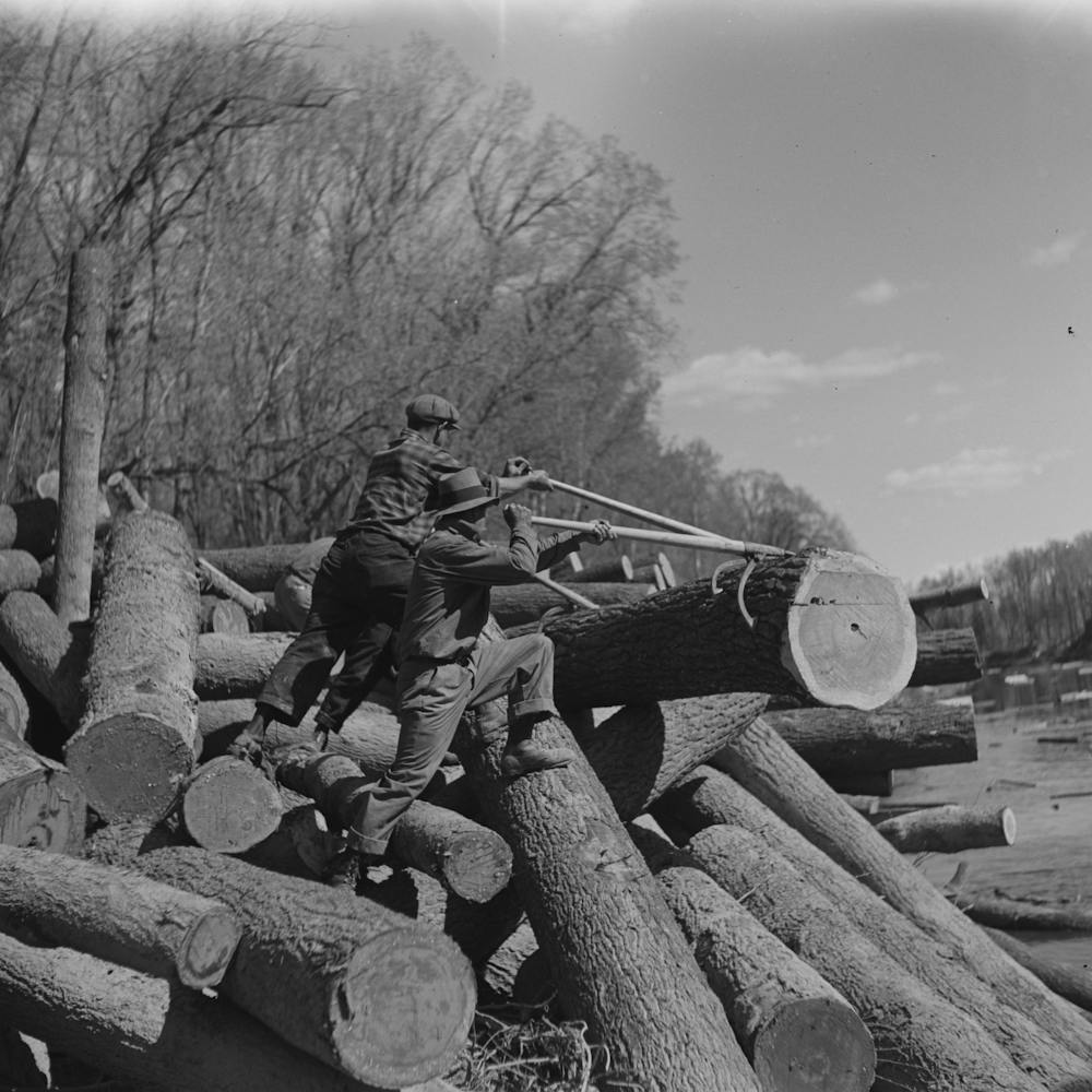 Holzfäller entfernt Baumstämme mit Peaveys von den Ufern des Little Fork River, Near Littlefork, Minnesota By Russell Lee