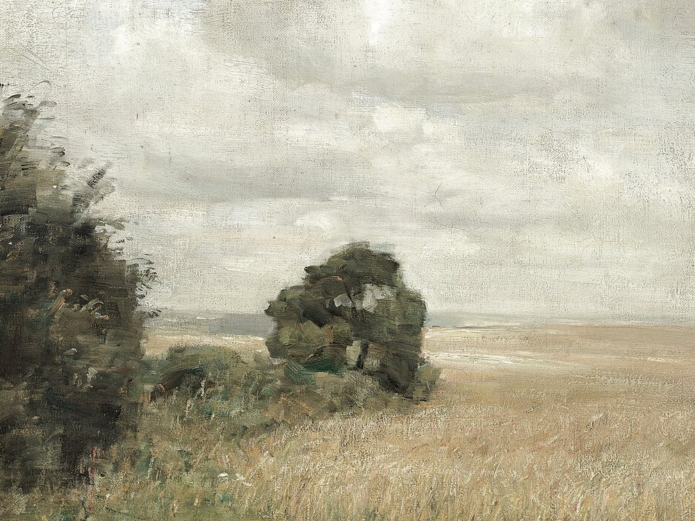 Field Of Wheat Carl Holsoe