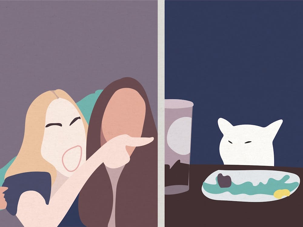 Taylor And Smudge The Cat Meme 