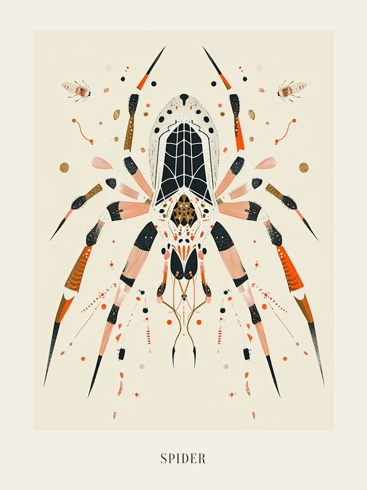 Colourful Insect Illustration Spider 1 Poster