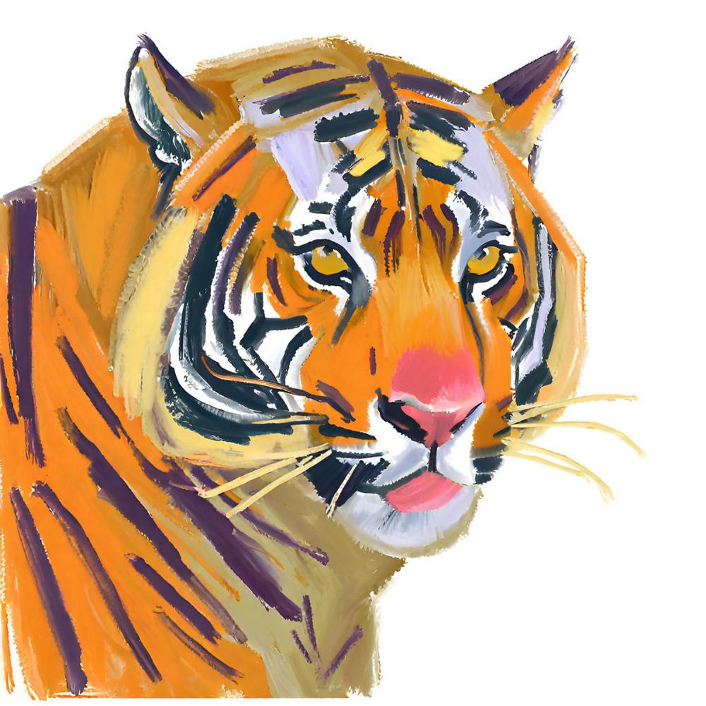 Sumatran Tiger 03 1