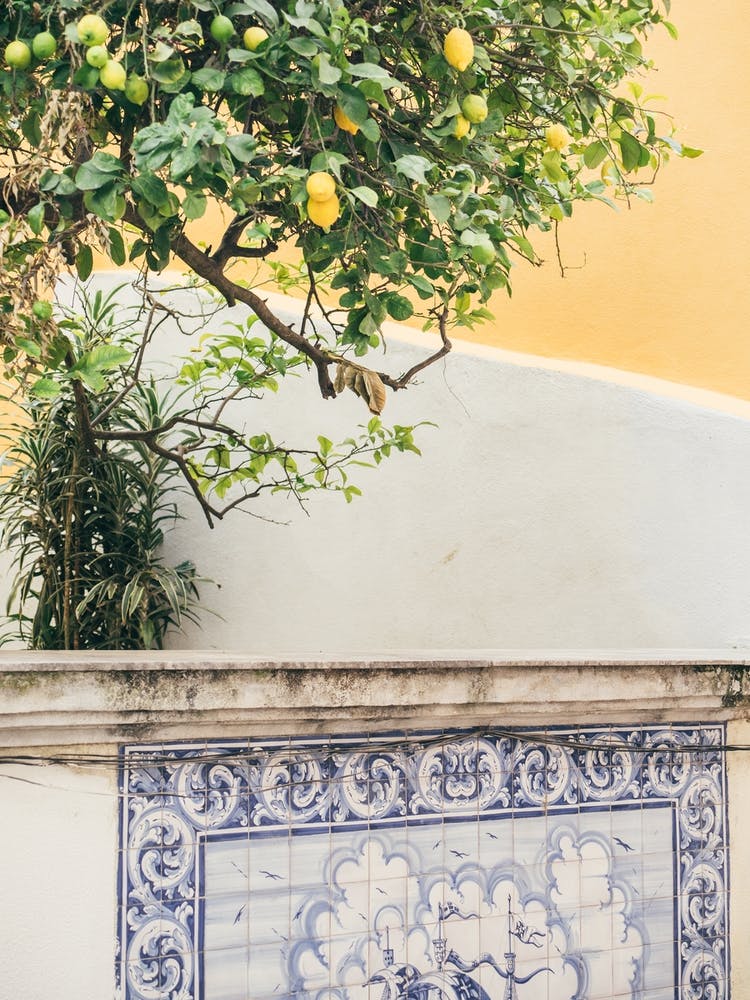 Lemon Tree And Lisbon Tiles
