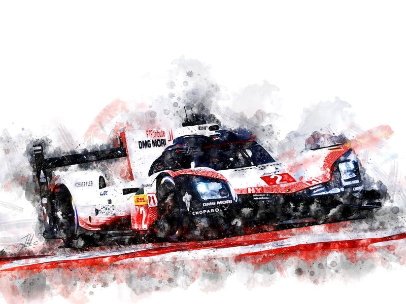 Hartley P919 2017