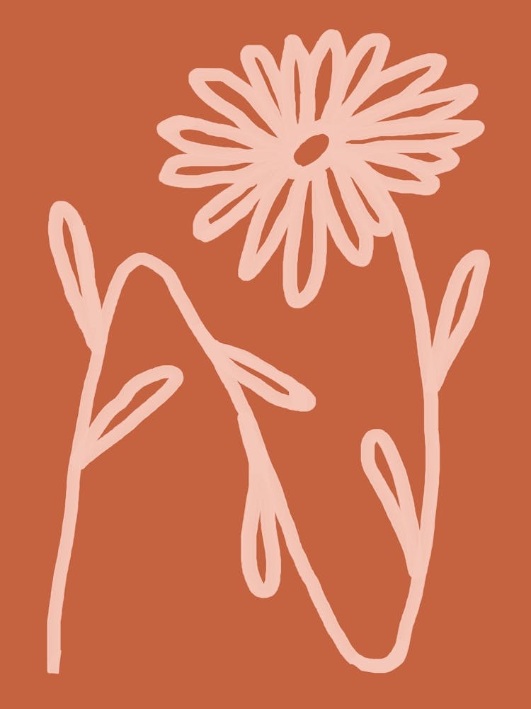 Daisy