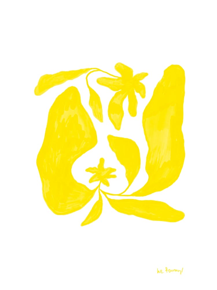 Spring Yellow Flowers 1