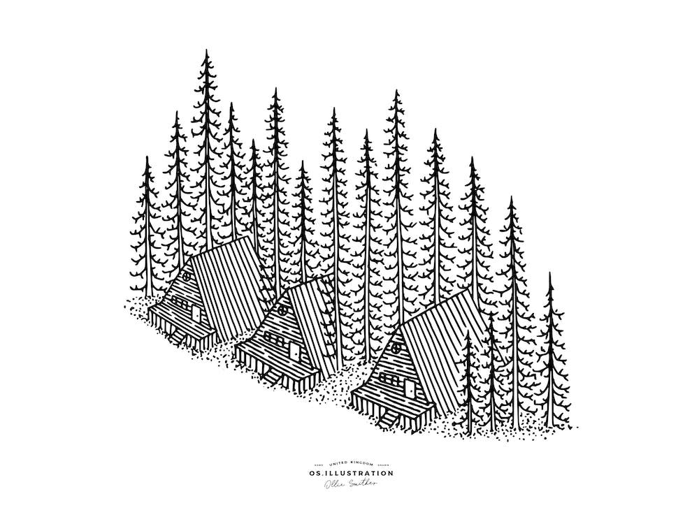 Pine Camp Fineline Illustration