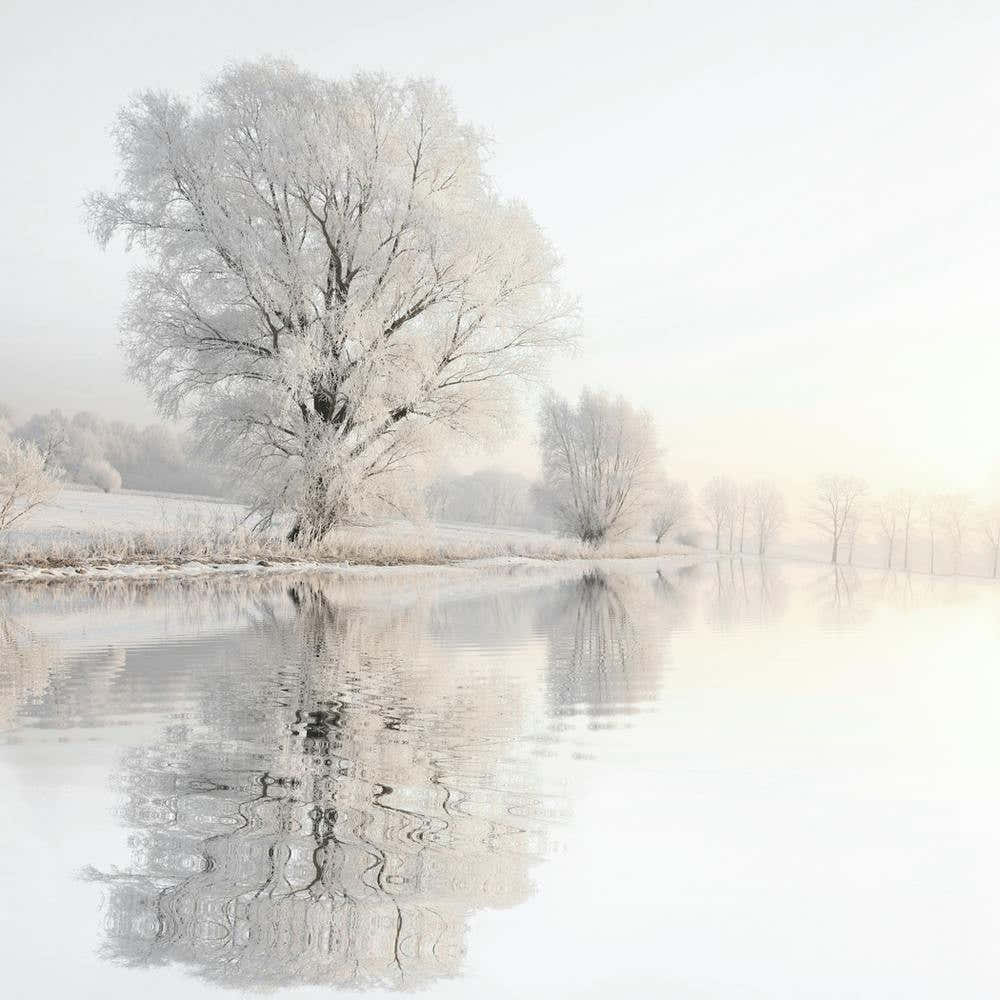 Frosty Lake 1