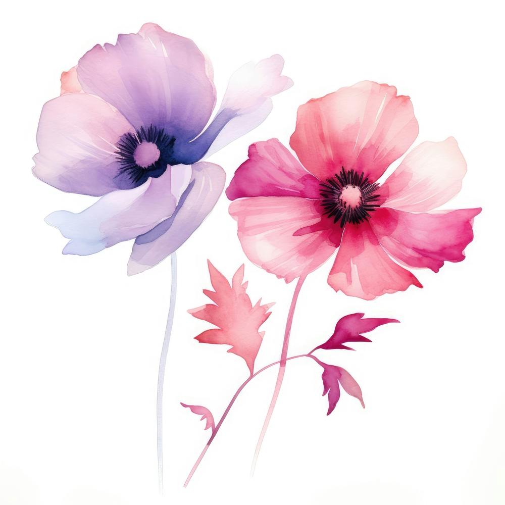 Watercolor Flowers On White Background