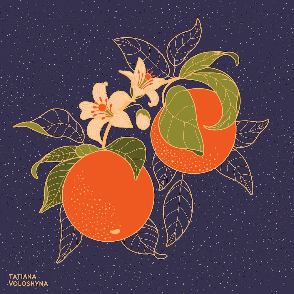 Orange Branch Square