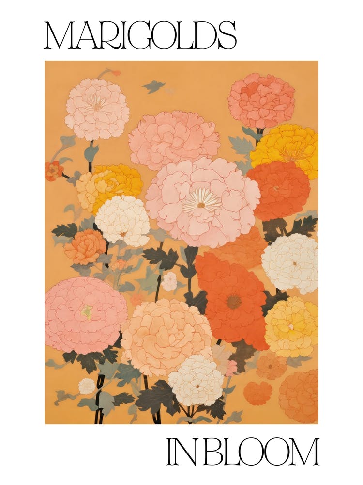 Marigolds In Bloom Flowers Bold Illustration 1