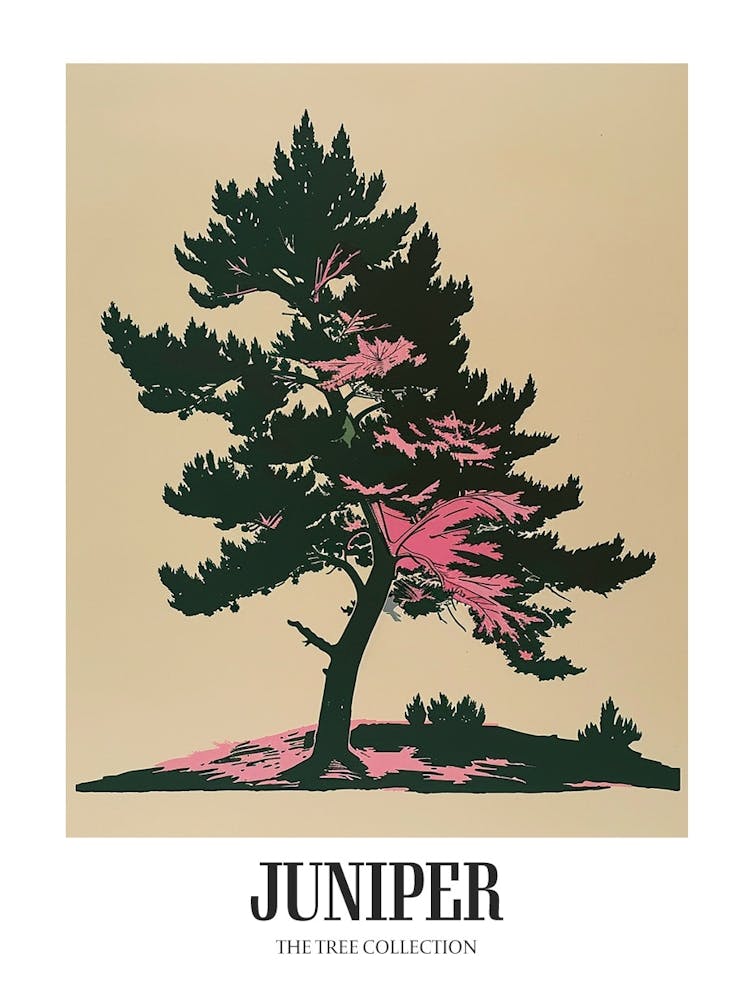 Juniper Tree Colourful Illustration 1 Poster