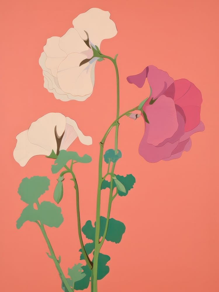 Sweet Peas Flower Big Bold Illustration 2