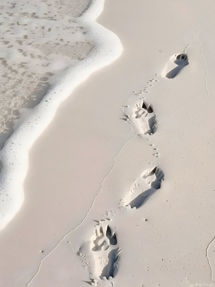 Footprints In The Sand 1