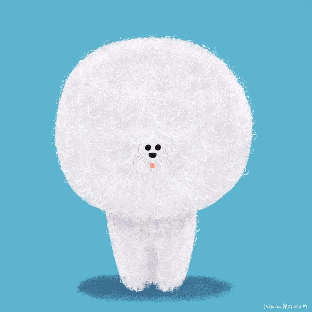 Bichon Frise Dog Square