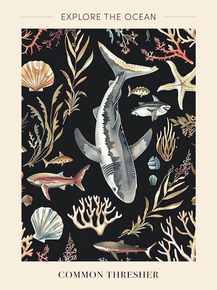 Common Thresher Seascape Black Background Illustration 2 Poster