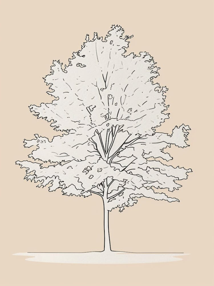 Maple Tree Minimalistic Drawing 2