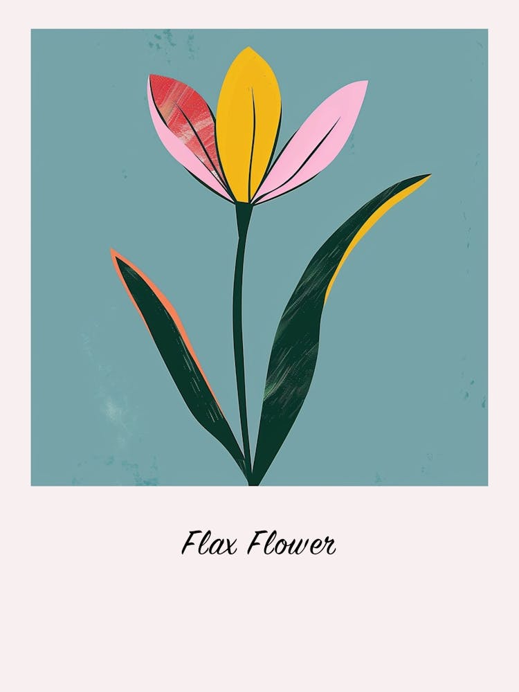 Flax Flower 2 Square Flower Illustration Poster