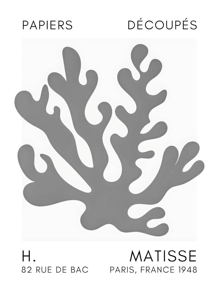 H Matisse 7