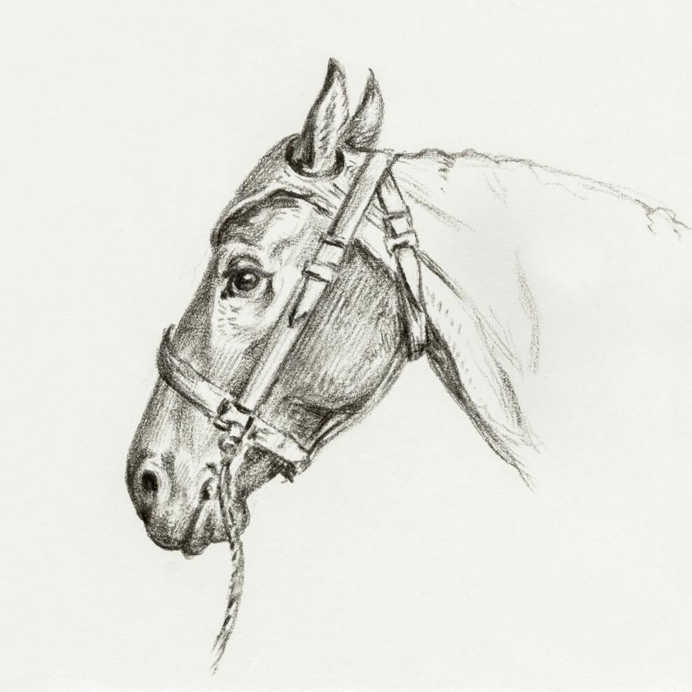 Head Of A Horse 2, Jean Bernard