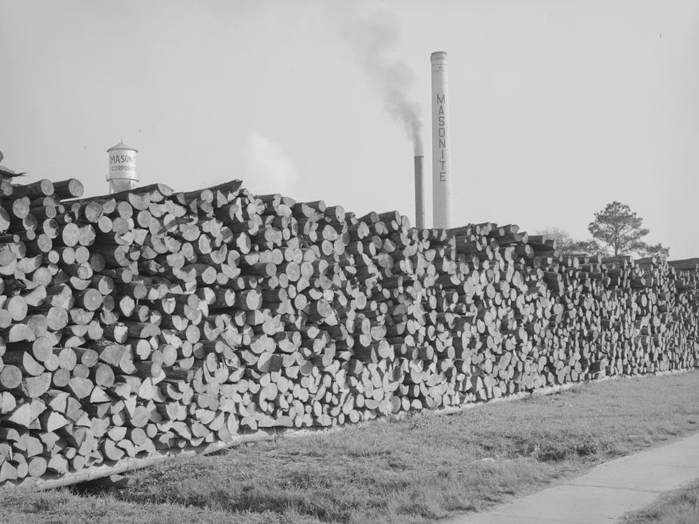 Piles Of Logs Used By Masonite Corporation,Laurel, Mississippi By Russell Lee