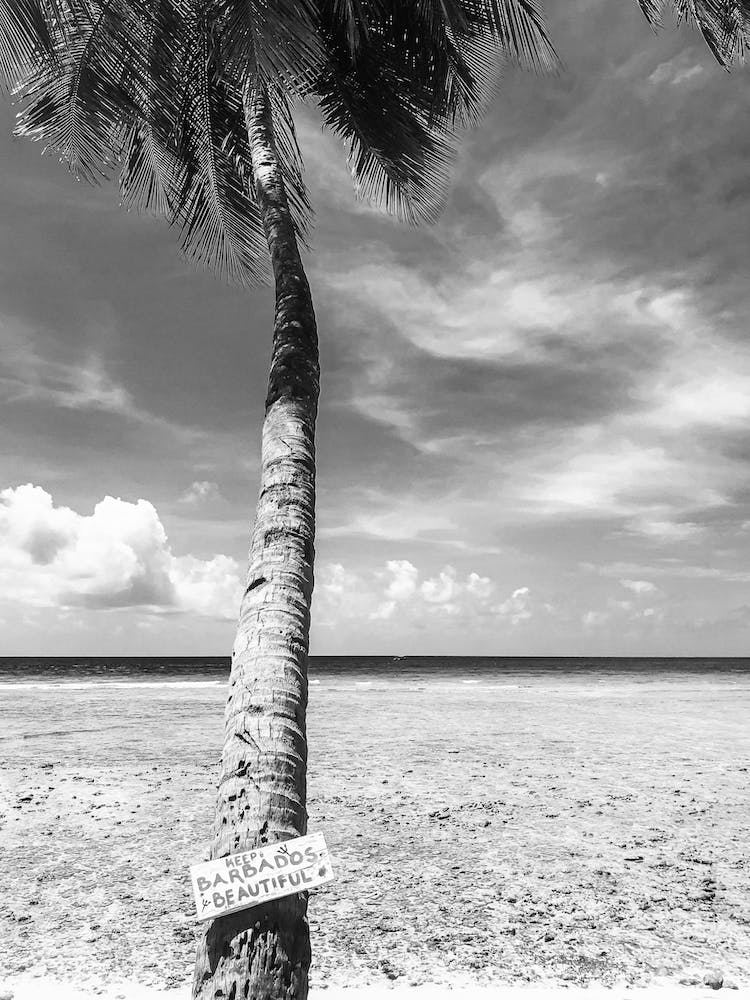 Keep Barbados Beautiful Black And White