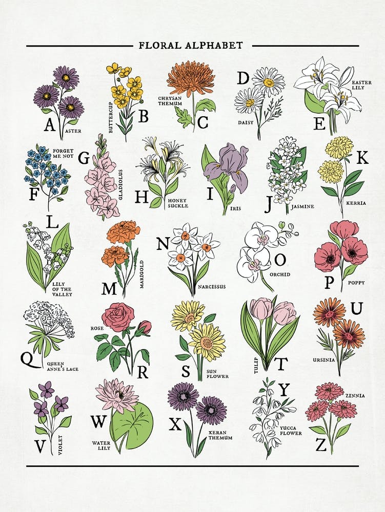 Floral Alphabet Bright &amp; Bold