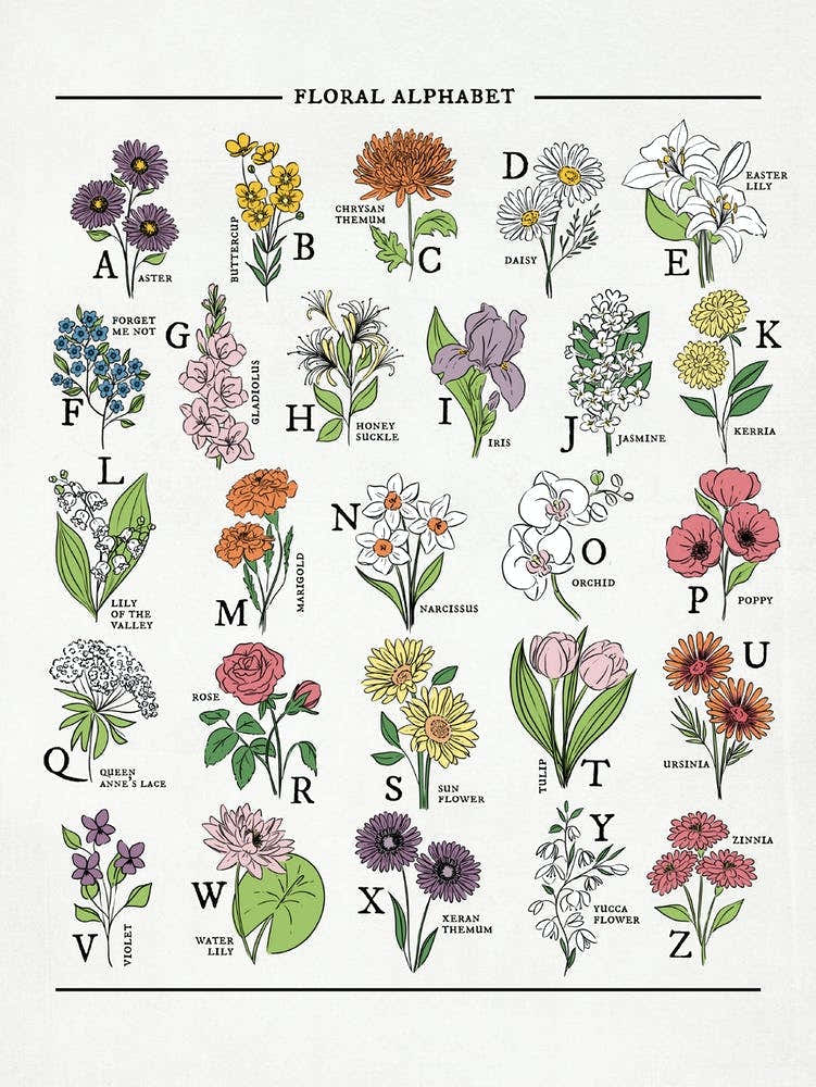 Floral Alphabet Bright & Bold