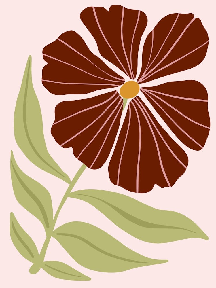 Hibiscus Flower 3