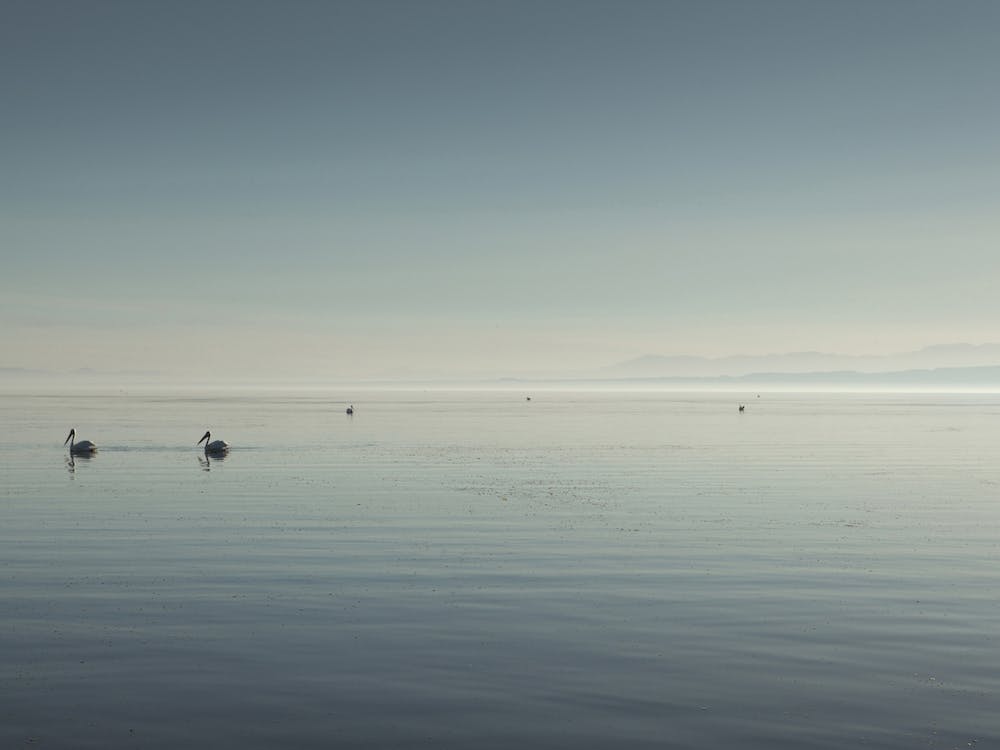 The Salton Sea