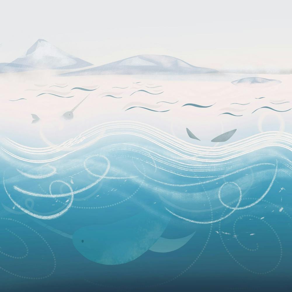 Arctic Ocean Animal