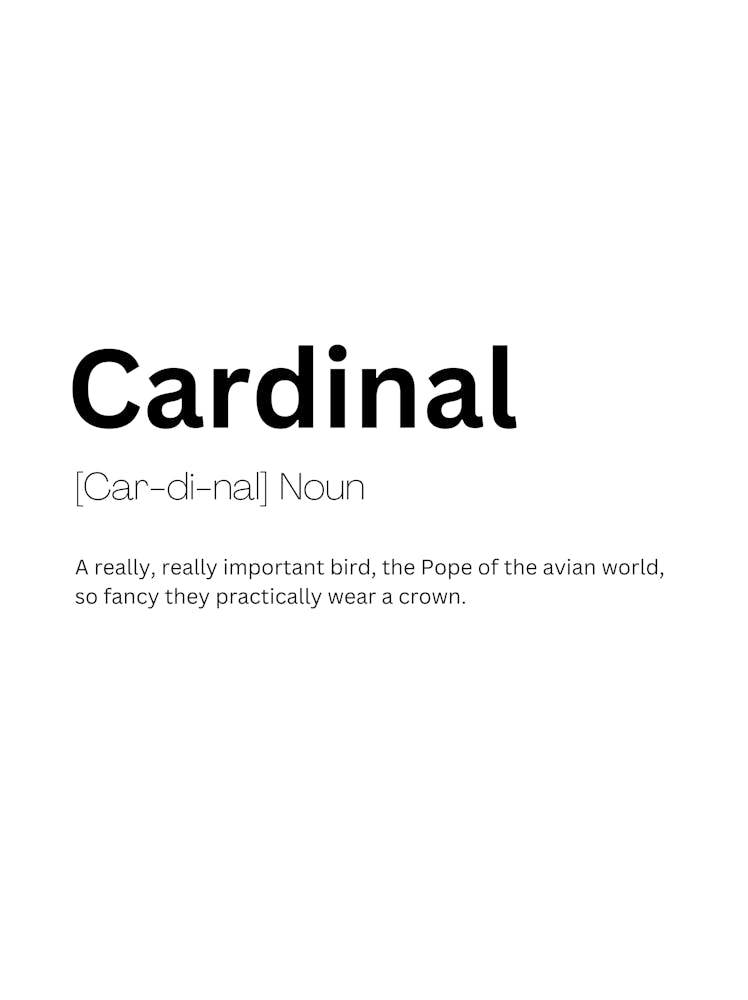 Cardinal Definition Meaning