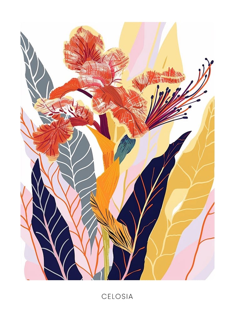 Colourful Flower Illustration Poster Celosia 4