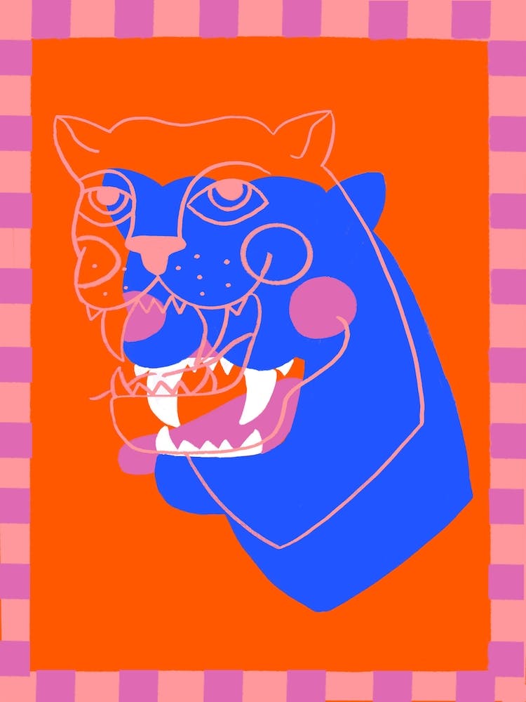 Krumme Linien Panther