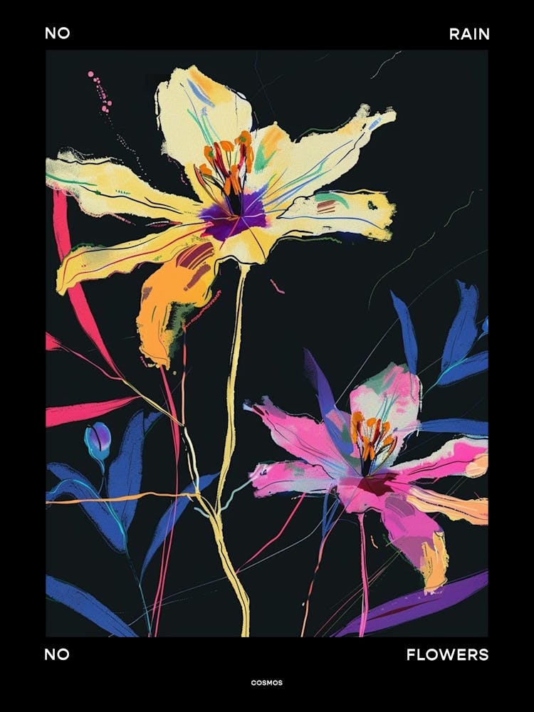 No Rain No Flowers Poster Cosmos 1