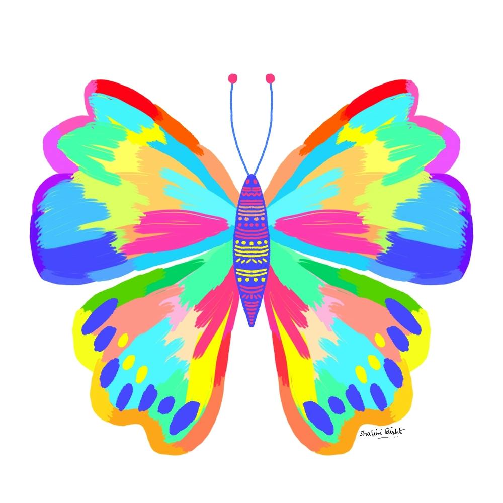 Colorful Butterfly