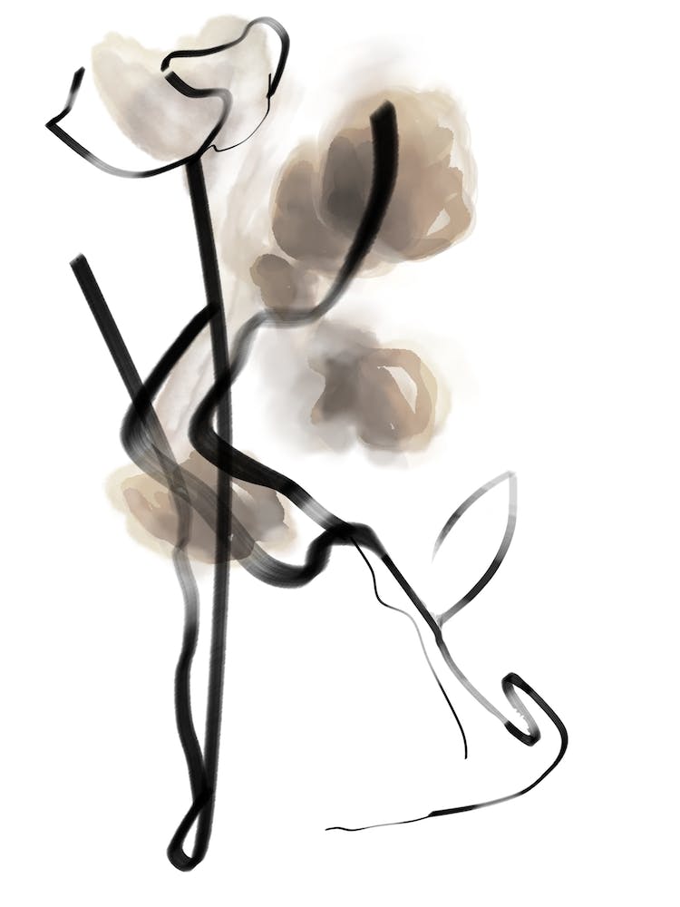 Abstract Rose Flowers